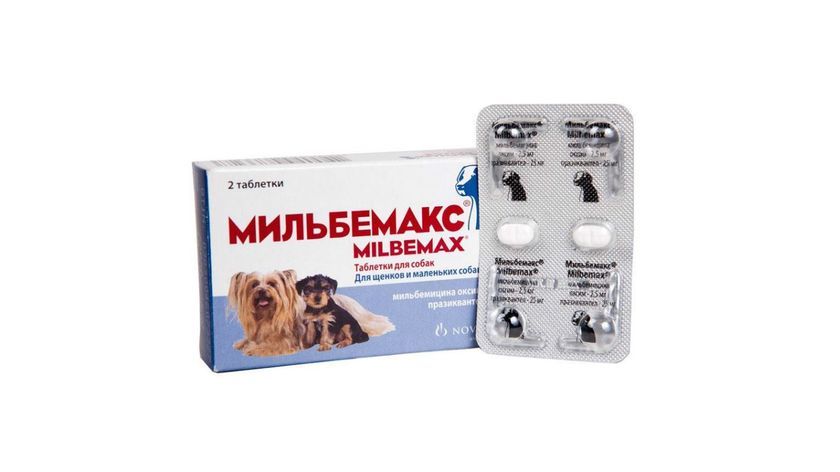 comprimés vermifuges