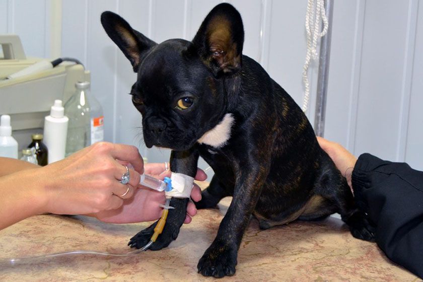 Traitement du syndrome