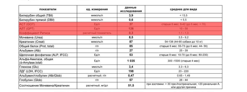 Exemple d'analyse sanguine