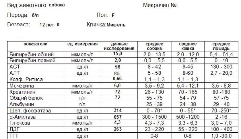 Indicateurs ALT et AST