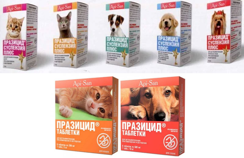 médicament anthelminthique praziquantel