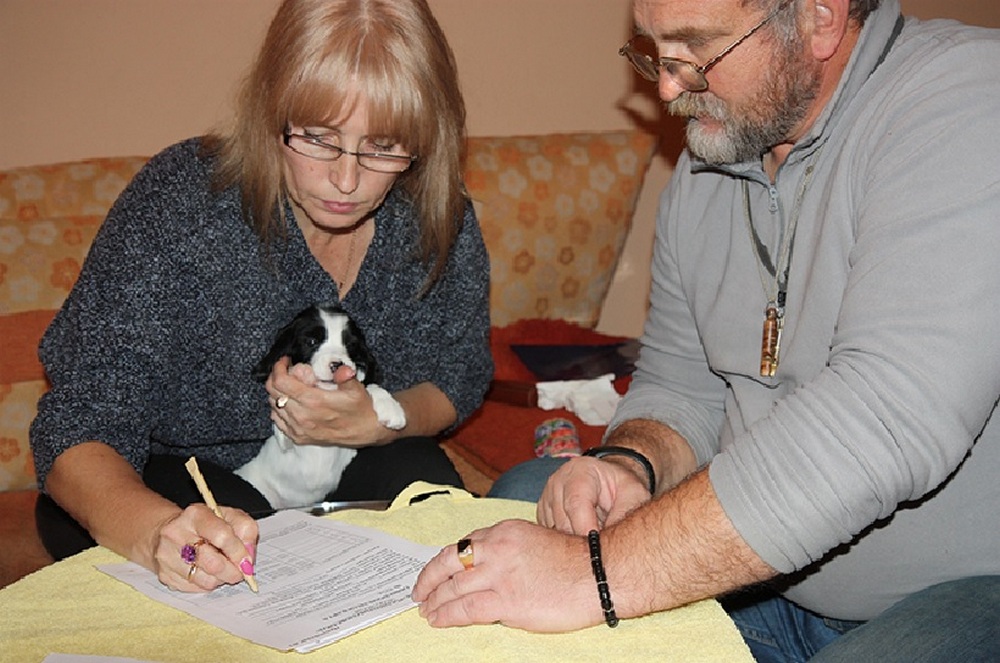Un homme, une femme avec un chiot à table, un document