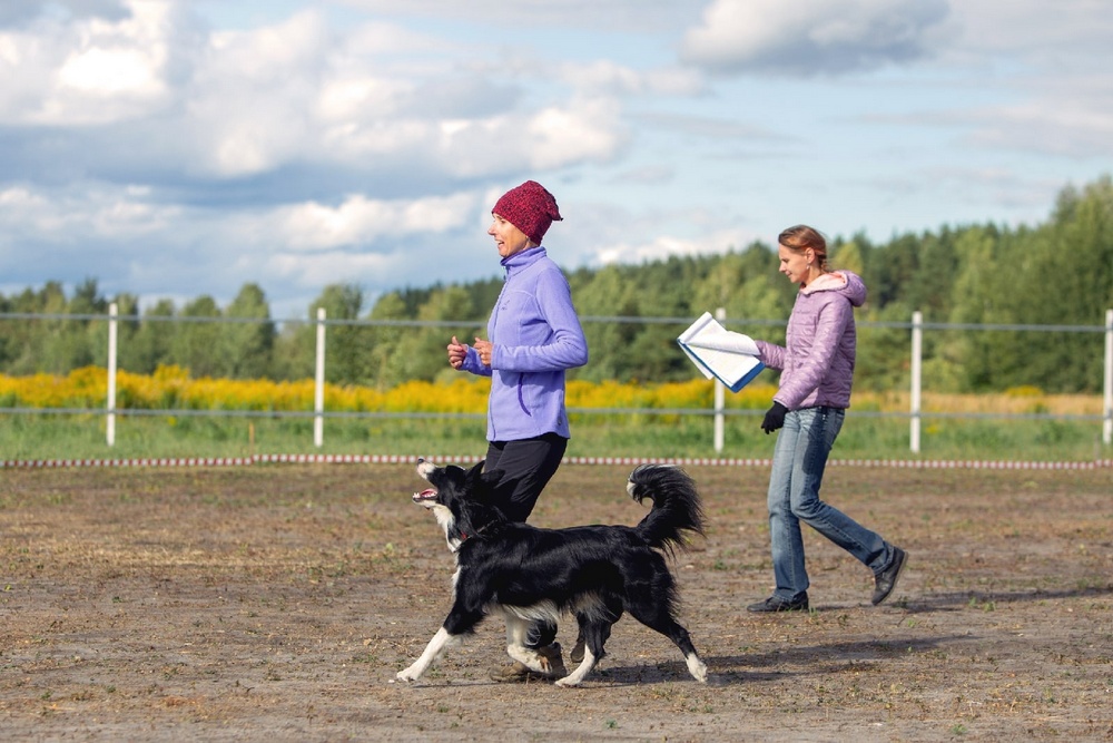 Des filles et un chien