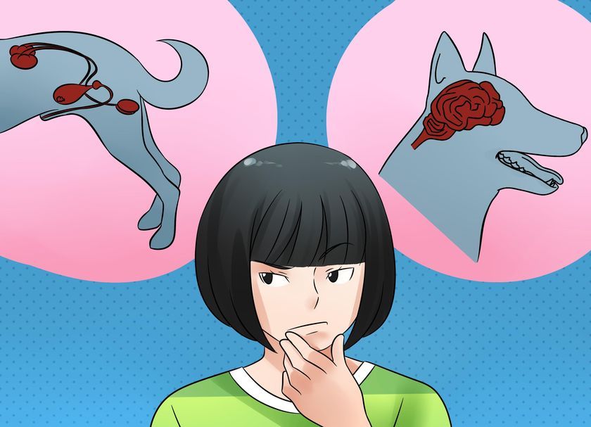 Causes de la maladie