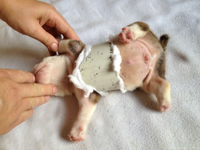 Traitement du syndrome du nageur