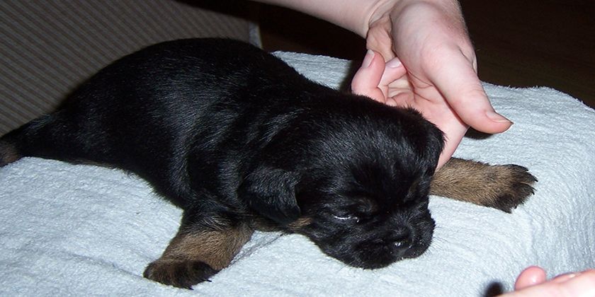 Signes du syndrome du nageur