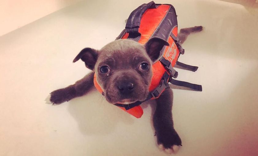 Signes du syndrome du nageur