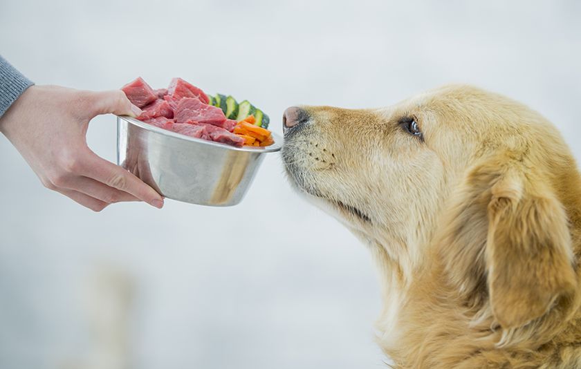 Aliments naturels pour chiens