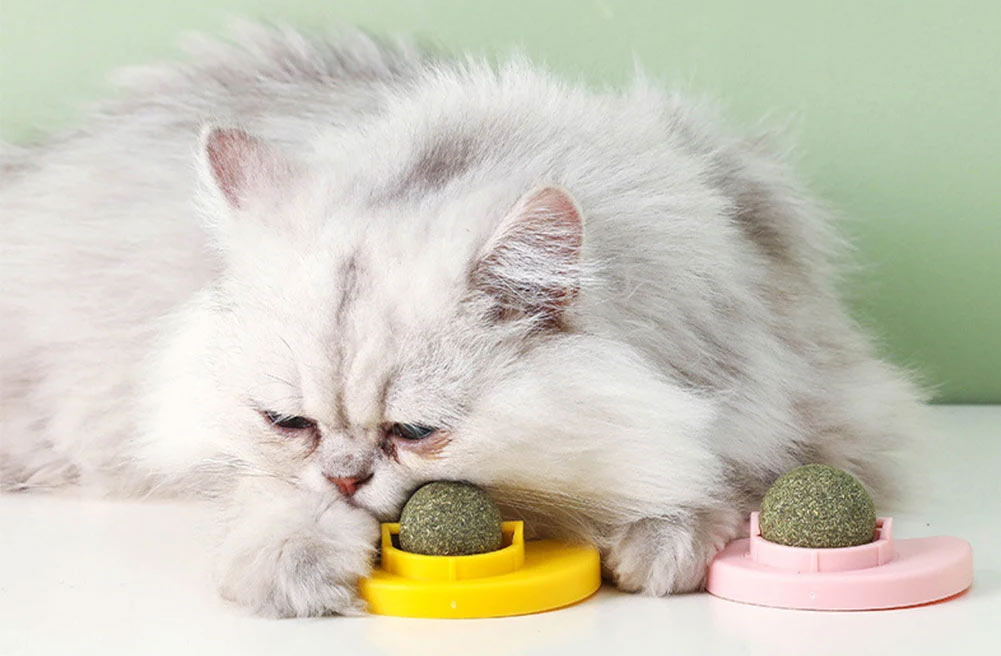 balle d'herbe à chat