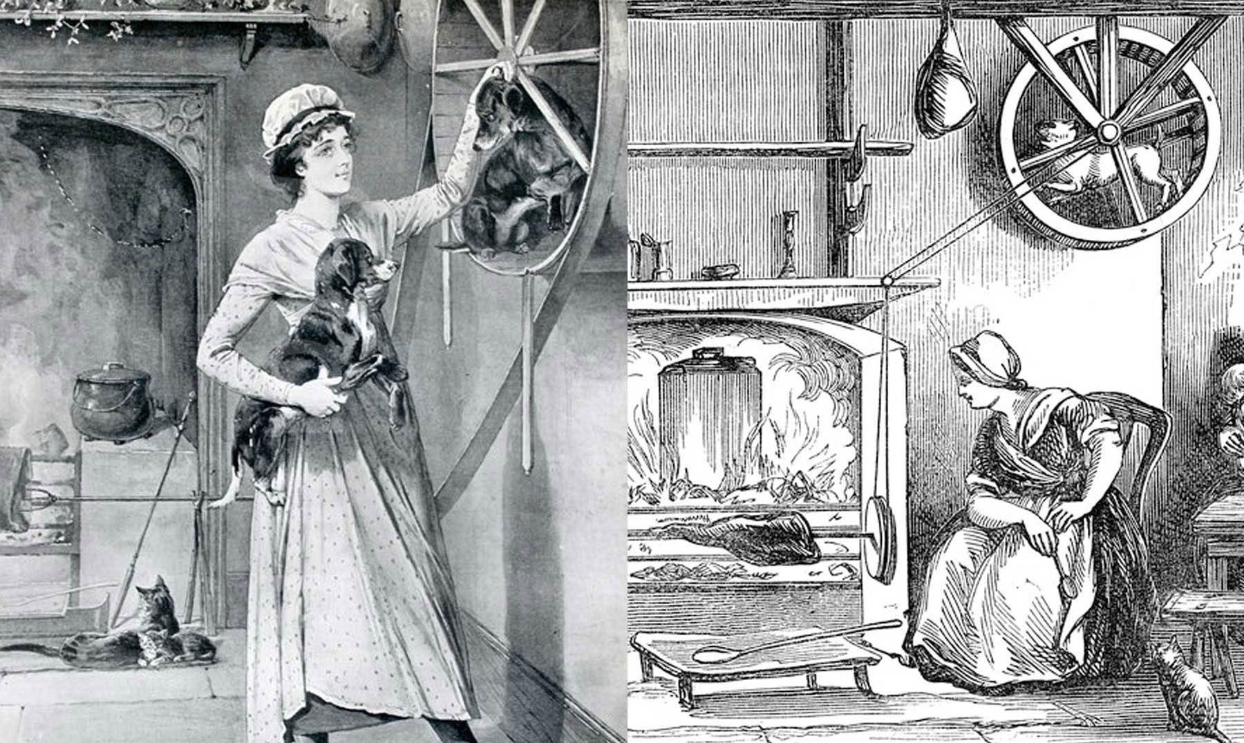 Le chien cracheur (chien de cuisine) est une race de chien éteinte.