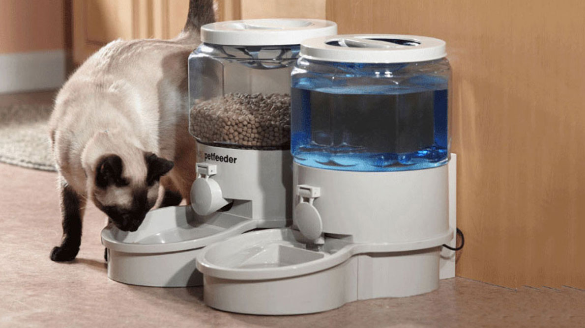 Comment laisser un chat seul à la maison pendant 2 jours