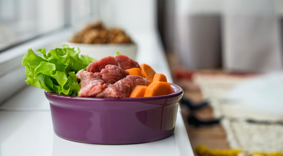 Alimentation naturelle pour le Sphynx