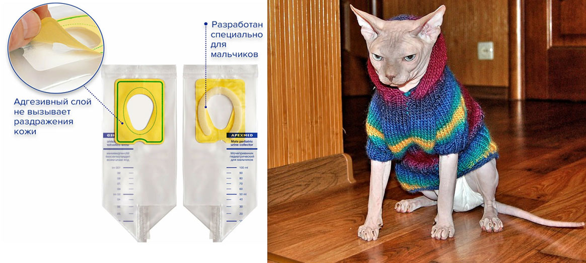 Comment utiliser une poche à urine pédiatrique pour recueillir l'urine d'un chat