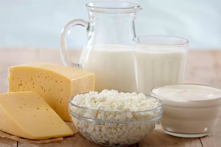 Quels produits laitiers fermentés sont bons pour les chats ?