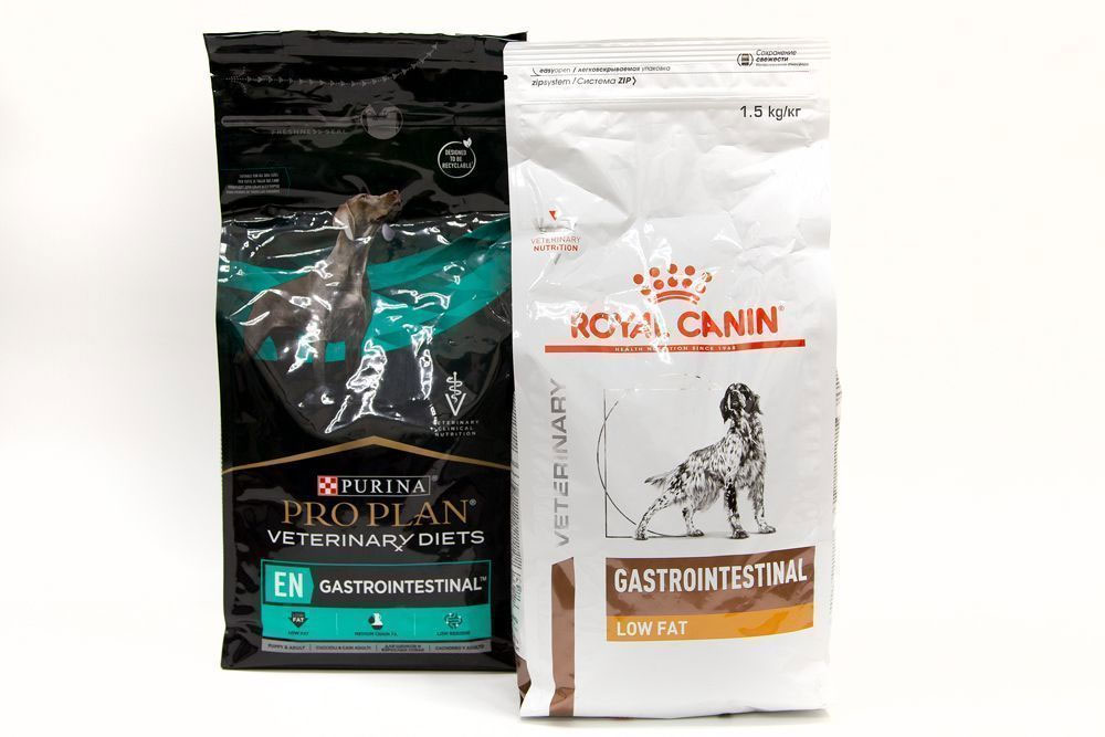Aliments gastro-intestinaux pour chiens