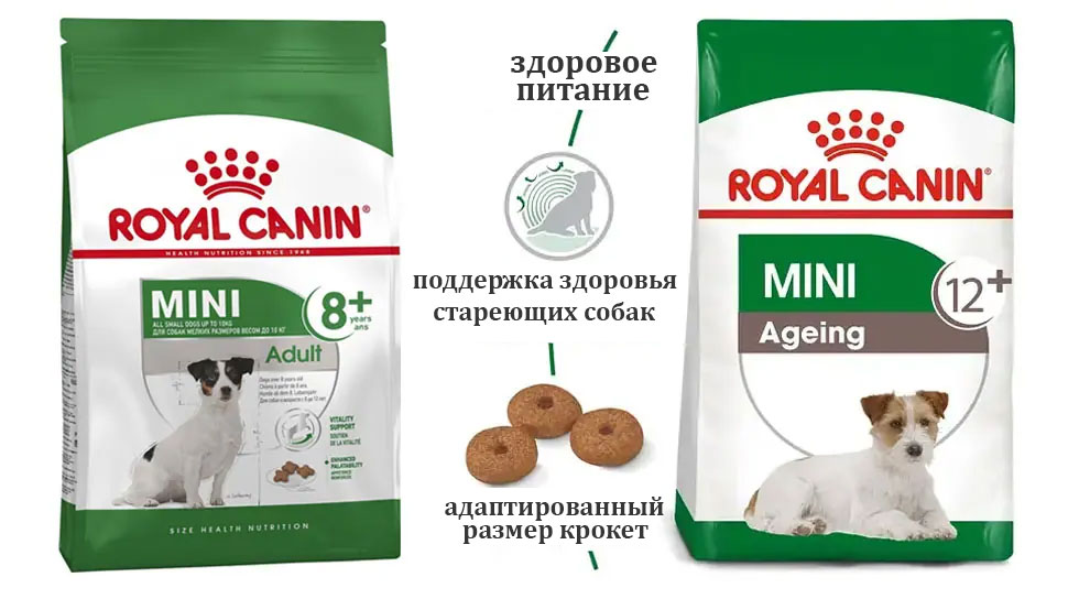 Nourriture pour chiens âgés