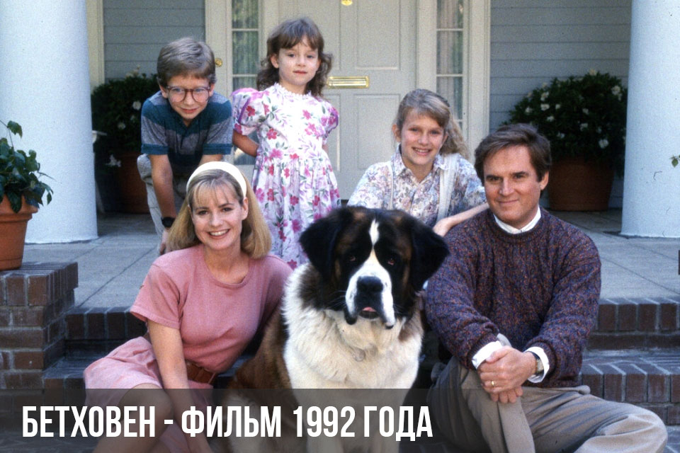 Le chien du film Beethoven