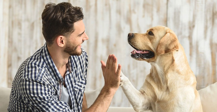 Les chiens peuvent-ils penser comme les humains ?