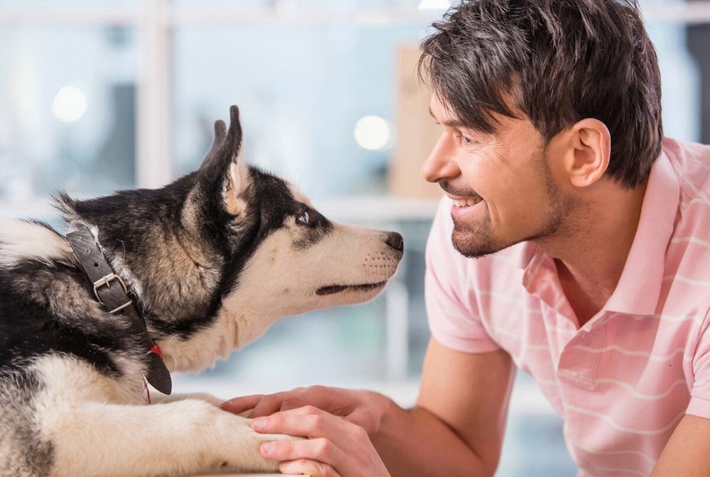 Un chien près d'un jeune homme
