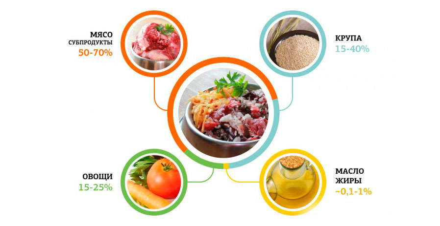 Aliments naturels pour chiens