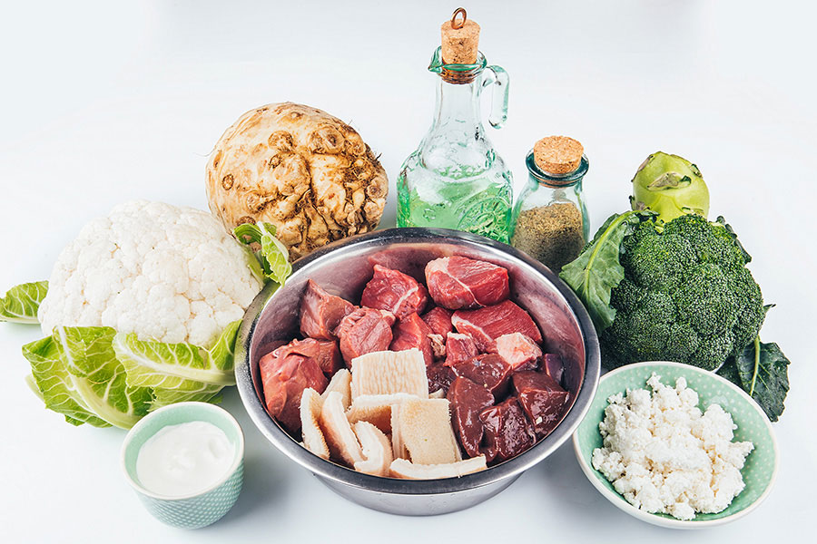 Quels aliments peut-on donner à un Labrador ?