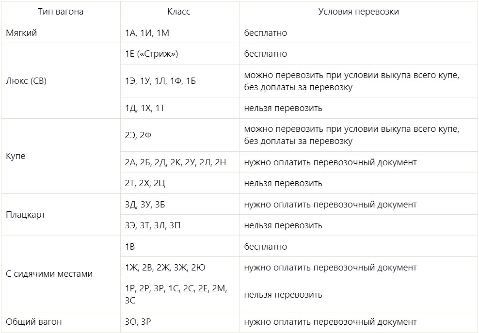 Règles de transport des petits chiens du ZhK russe