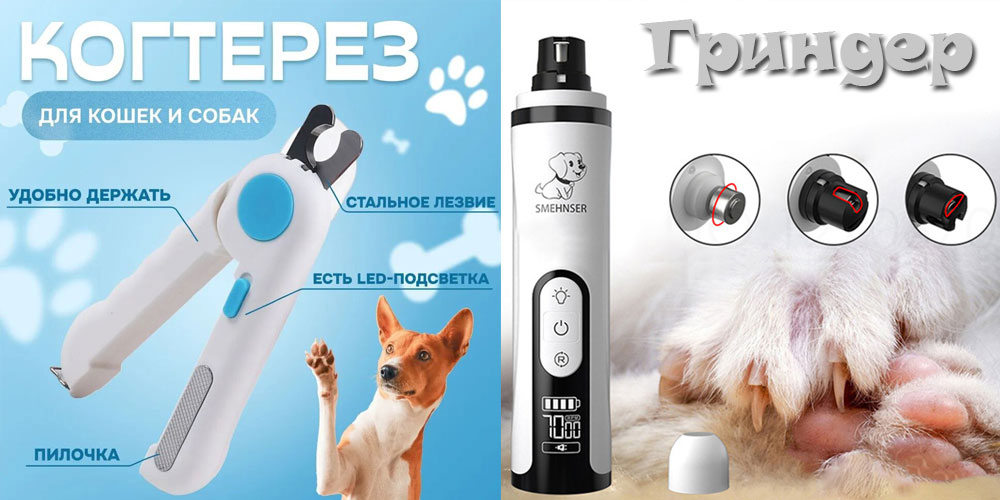 Comment couper les griffes d'un chien