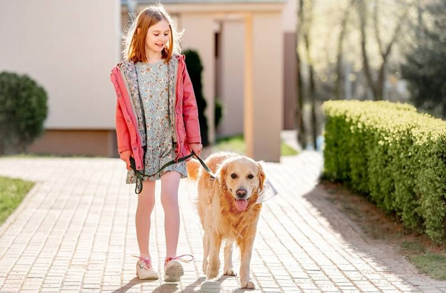Pourquoi un chien pourrait-il refuser de se promener avec une autre personne ?