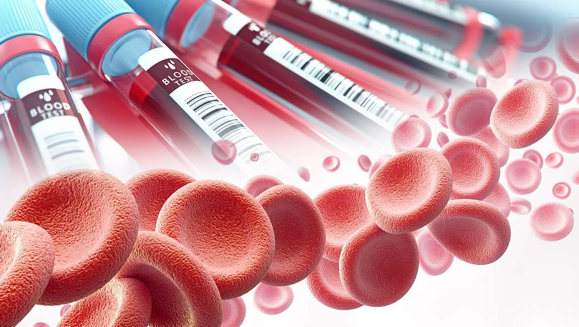 Globules rouges dans le sang