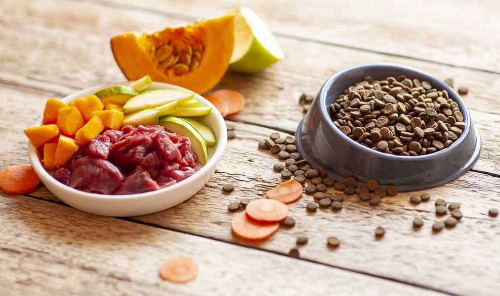 Options alimentaires pour chiens