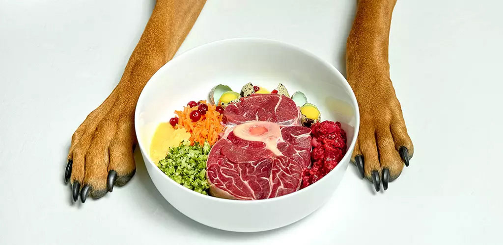 L'alimentation naturelle idéale pour un berger allemand