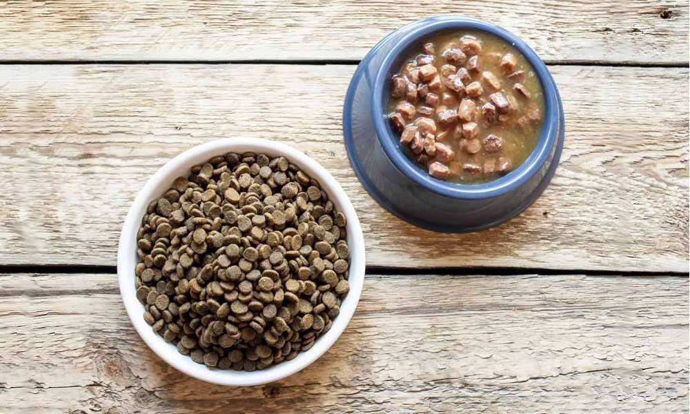 Aliments secs et humides pour chiens