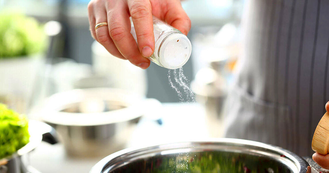 Faut-il saler la nourriture des chiens ?