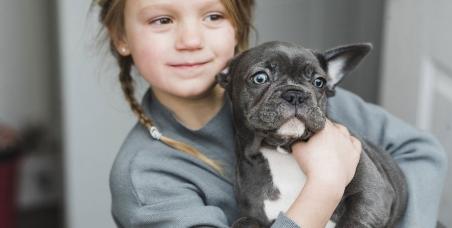 Le rotavirus se transmet-il de l'homme au chien et vice versa ?