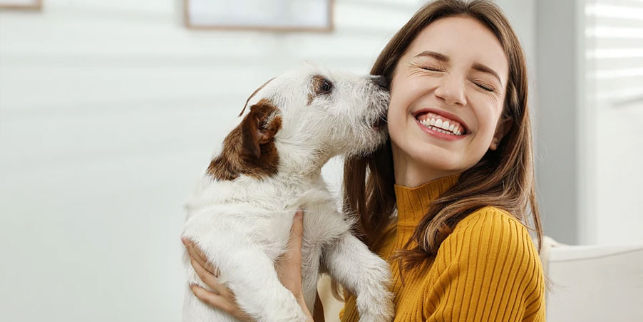 Pourquoi un chien éternue-t-il quand il est content ?