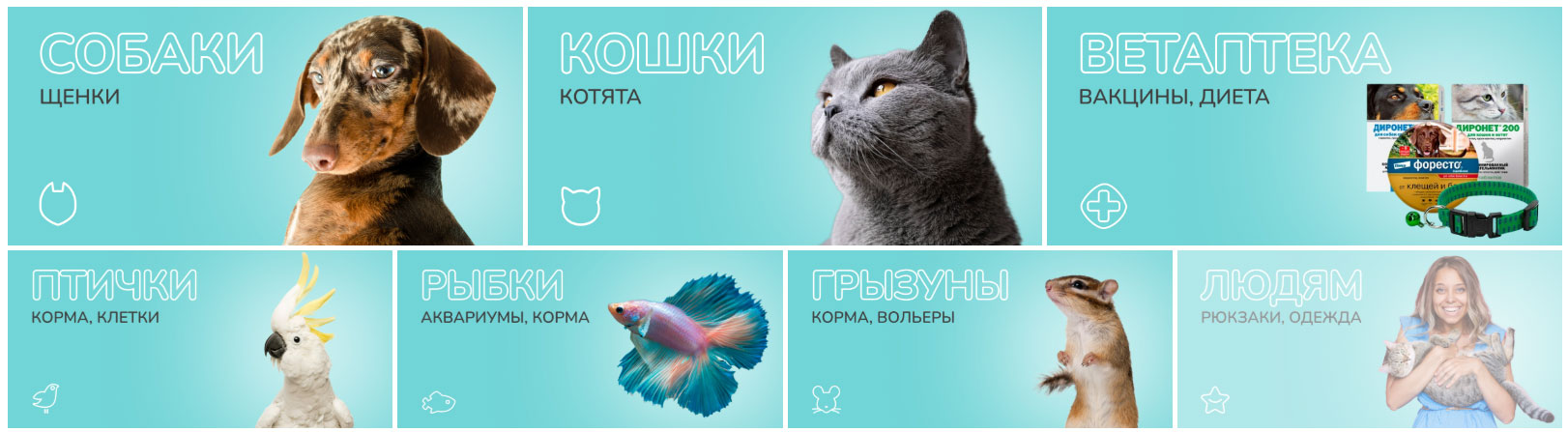 Faites vos achats du week-end avec un code promo chez Beethoven Store