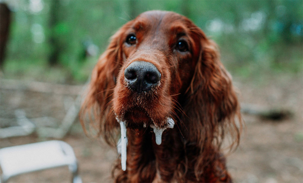 Hypersalivation (causes de la salivation pathologique)