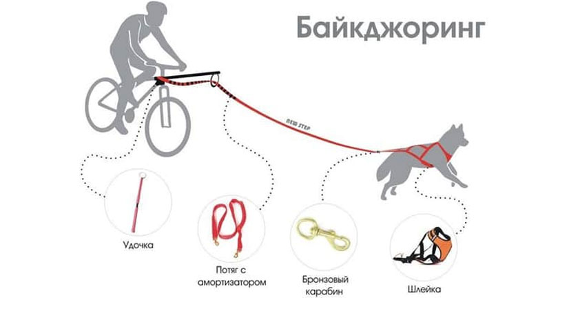 Équipement adéquat pour les voyages à vélo