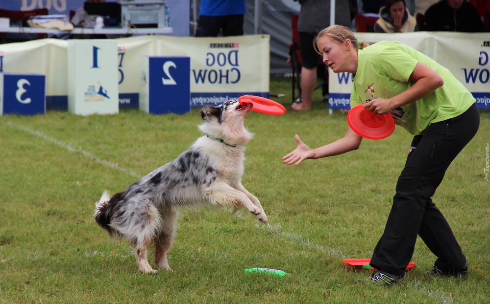 étapes de la formation