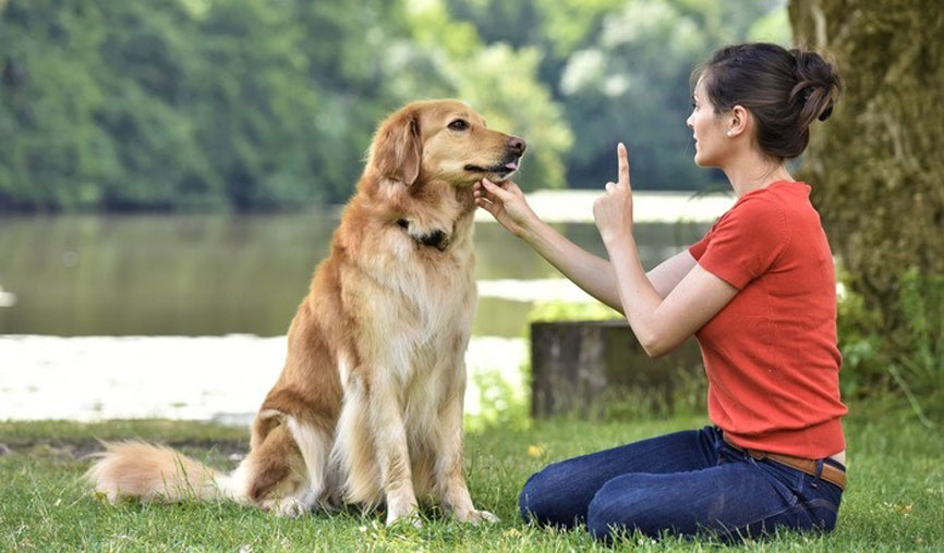 Ordres prohibitifs : Non et Non