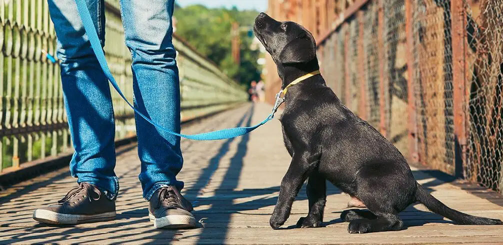 Apprendre la commande « Fu »