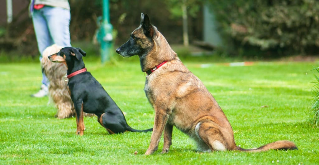 La commande « Assis » est standard.