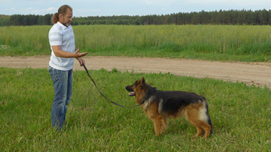 Un geste pour la commande « Stop »