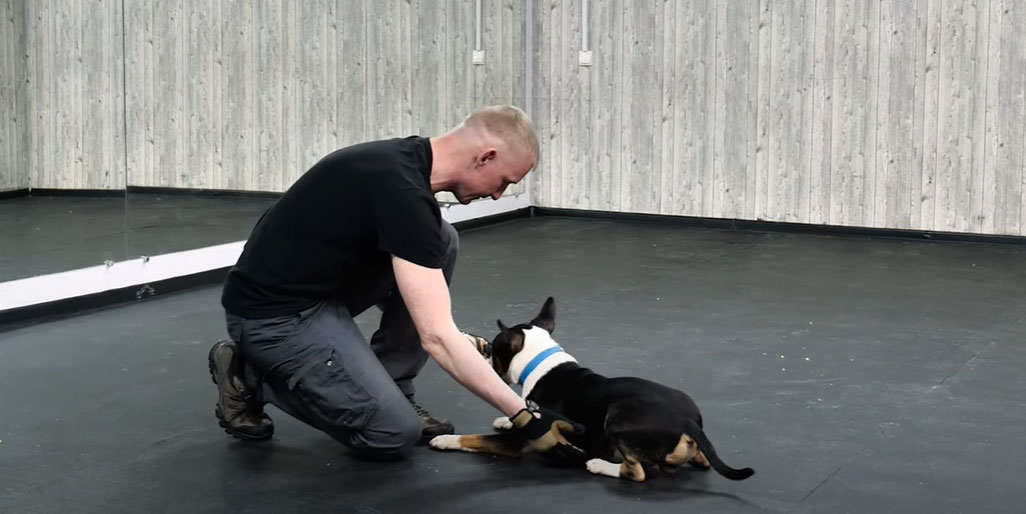 L'ordre de se relever d'une position couchée