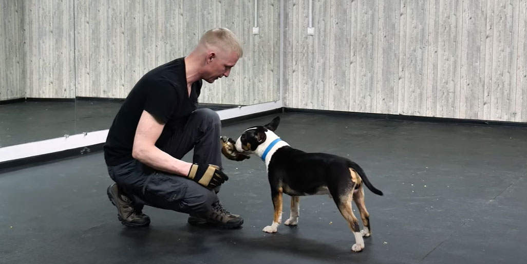 Rester immobile sur commande