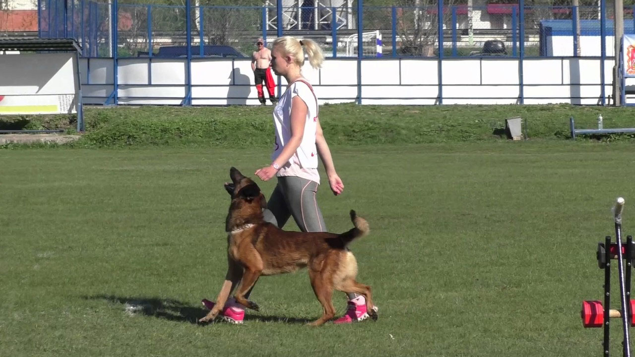 Mondioring - par où commencer l'entraînement