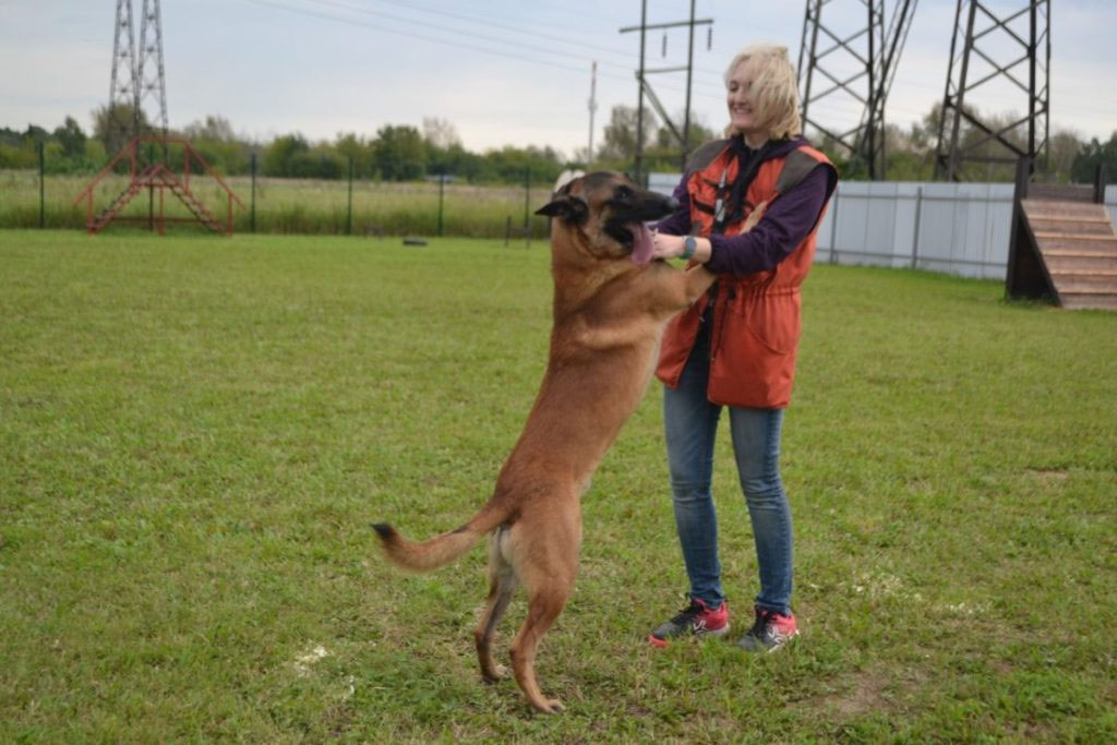 Avantages de Mondioring