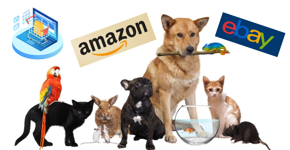 Articles pour animaux de compagnie provenant de magasins américains