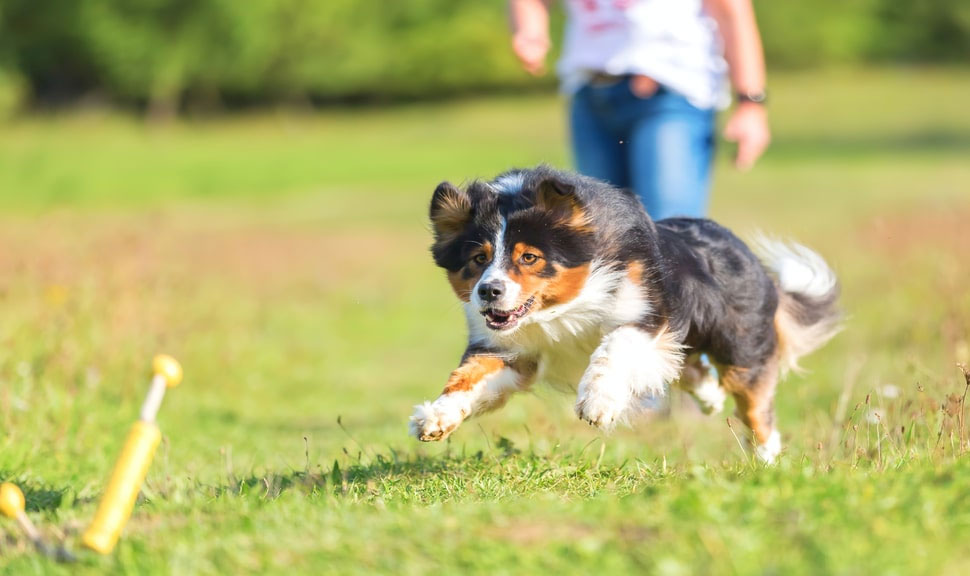 Commande « Aport » conforme à la norme