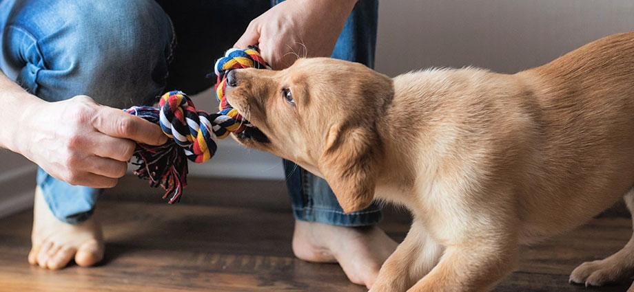 La séquence de commandes est d'abord « Donner », puis « Récupérer ».
